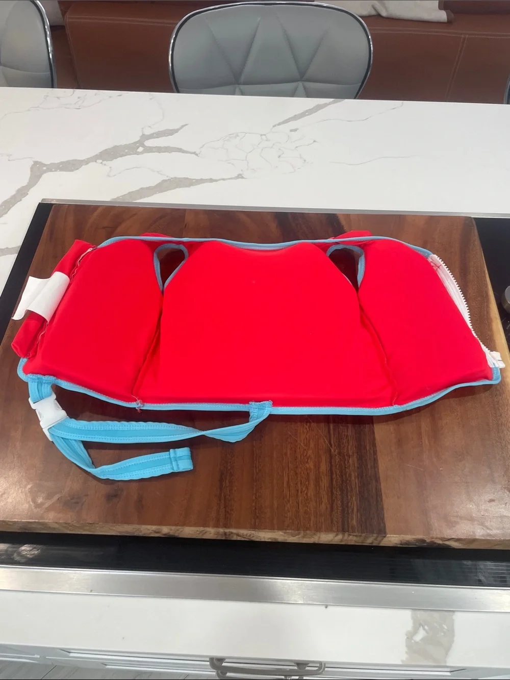 Disney Red and Light Blue Mickey & Pluto Swim Vest